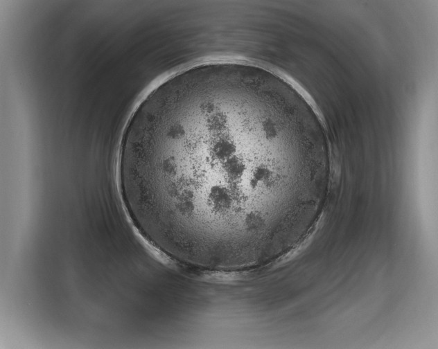 X0000115381245200911101300