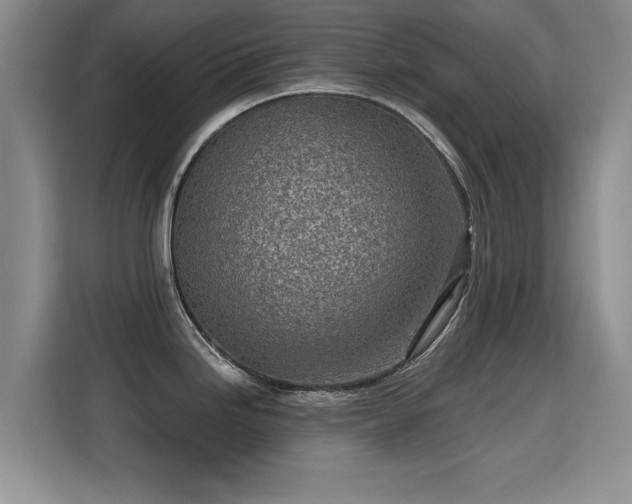 X0000115381246200911101300