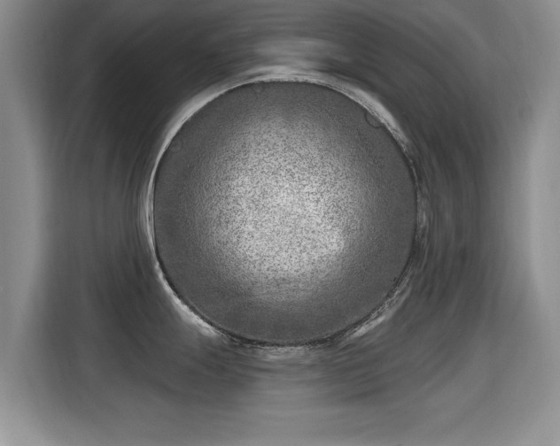 X0000115381247200911101300
