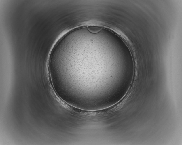 X0000115381248200911101300