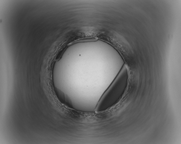 X0000115381249200911101259