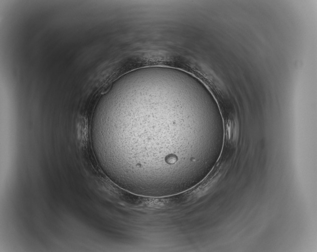 X0000115381251200911101259