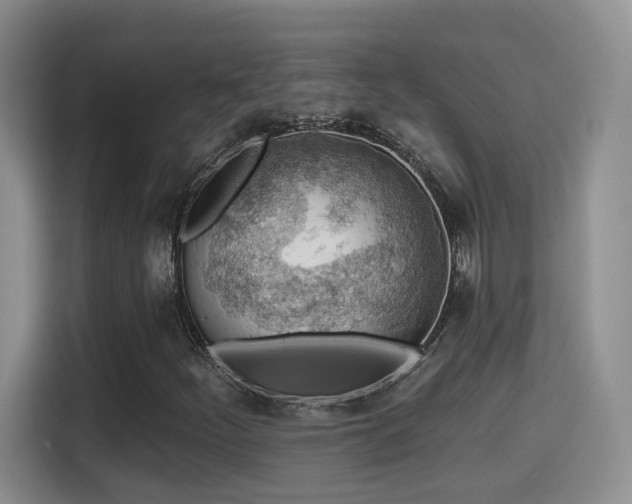 X0000115381252200911101259