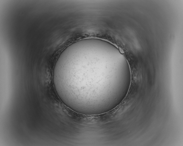 X0000115381253200911101259