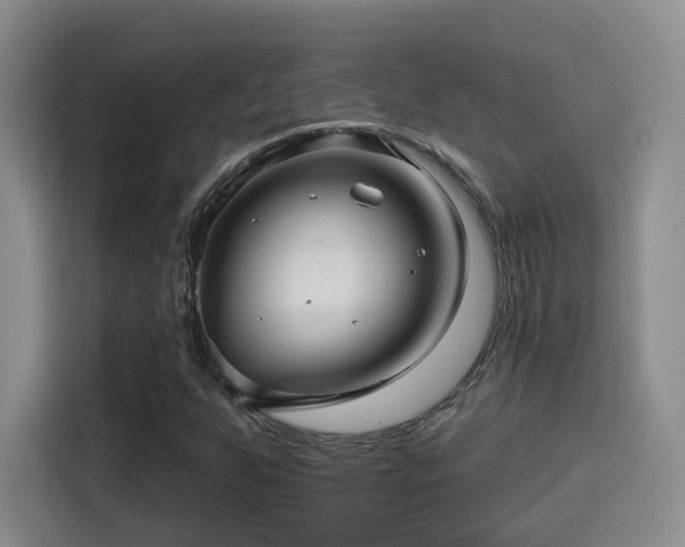 X0000115381255200911101259