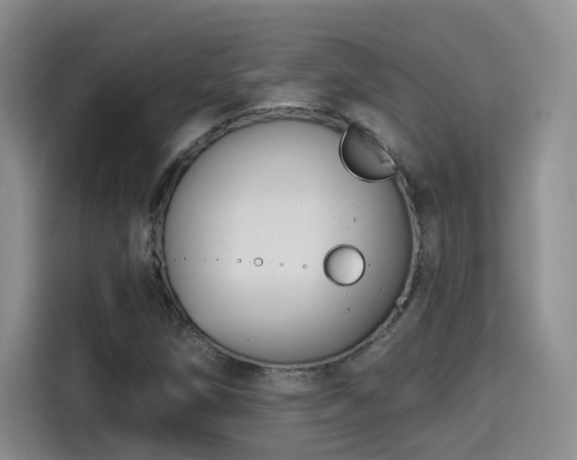 X0000115381258200911101259