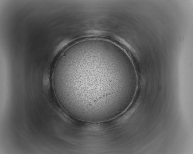 X0000115381259200911101259