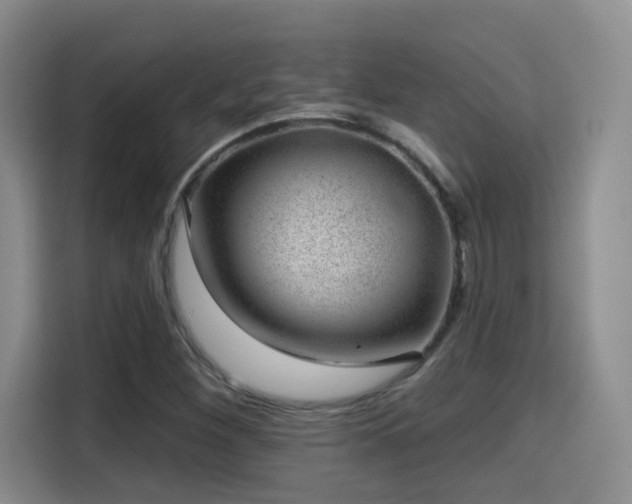 X0000115381260200911101259