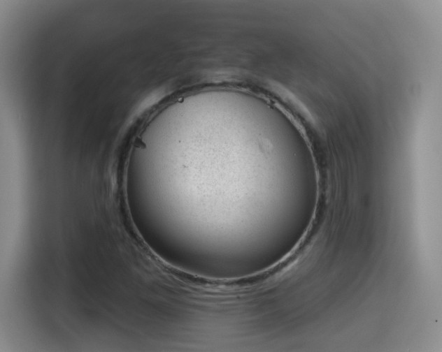 X0000115381261200911101259