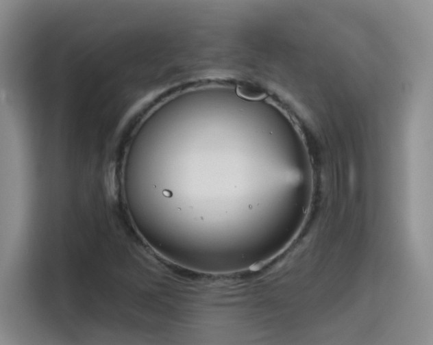 X0000115381262200911101259