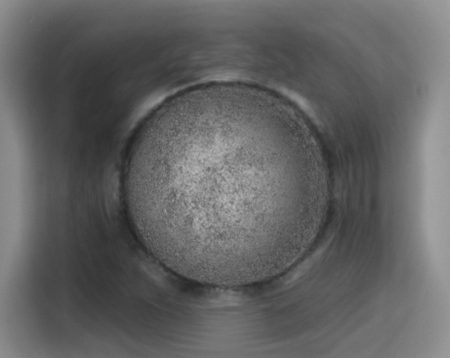 X0000115381263200911101259