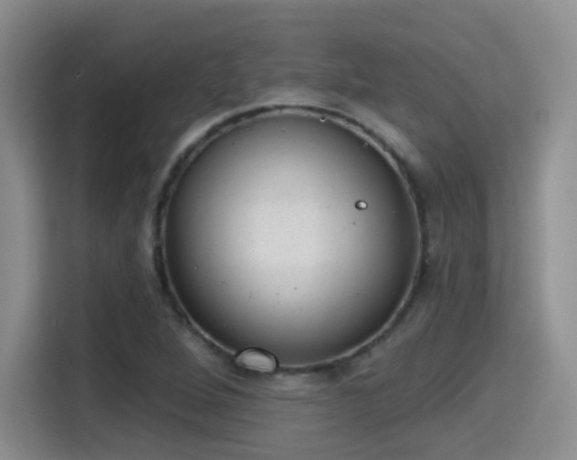 X0000115381264200911101259