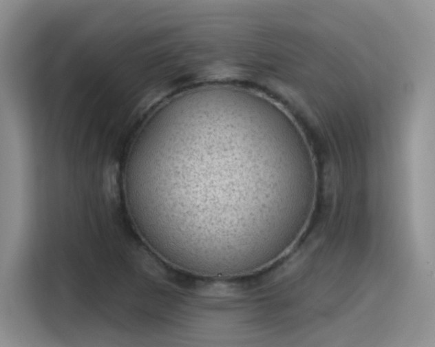 X0000115381265200911101259