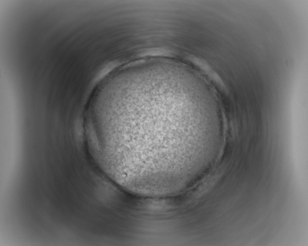 X0000115381266200911101259