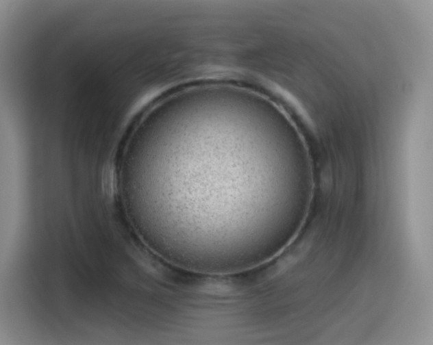 X0000115381267200911101259