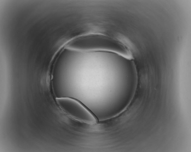 X0000115381268200911101259