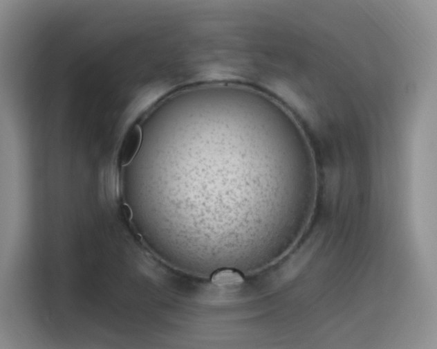 X0000115381269200911101259