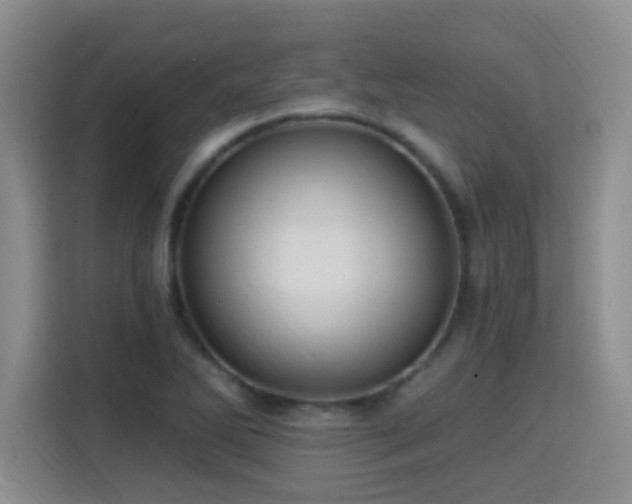 X0000115381270200911101259