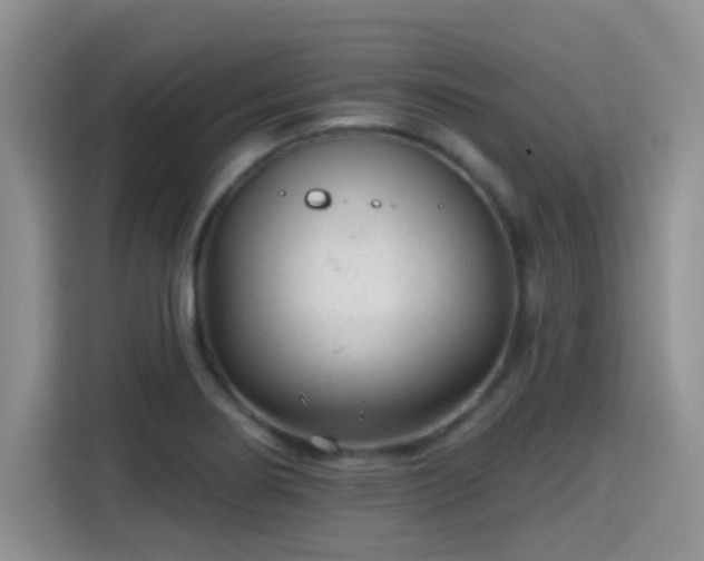 X0000115381274200911101259