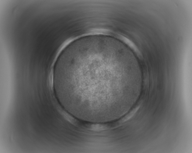 X0000115381275200911101259