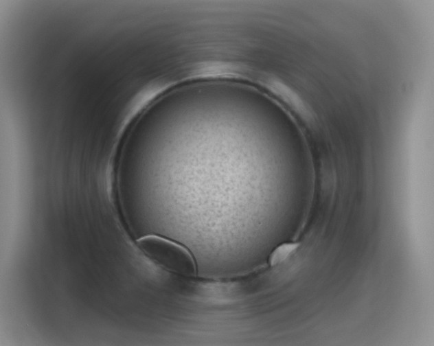 X0000115381277200911101259