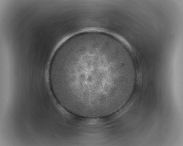 X0000115381279200911101259