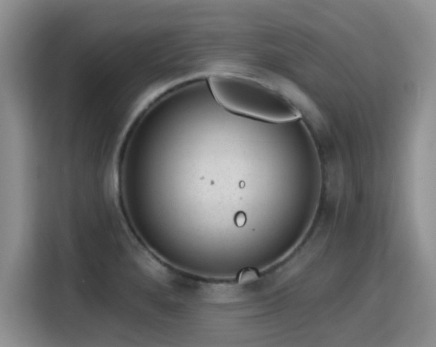 X0000115381280200911101259