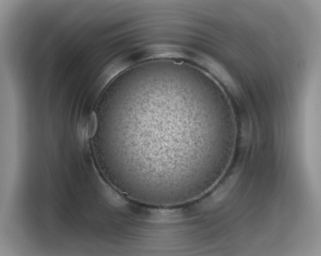 X0000115381281200911101259