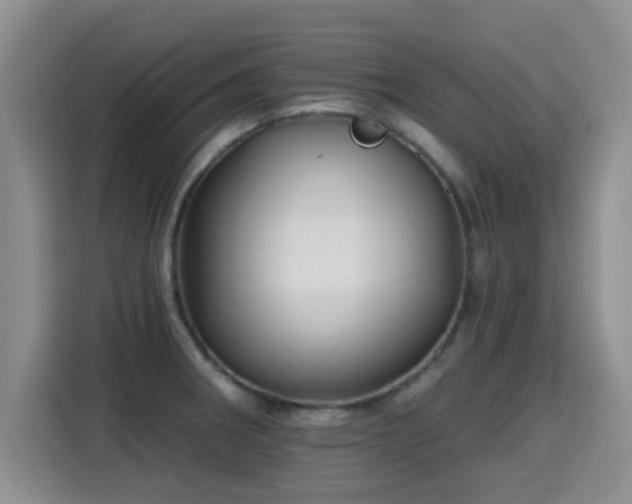 X0000115381282200911101259