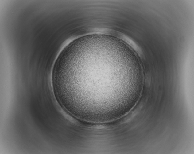 X0000115381283200911101259