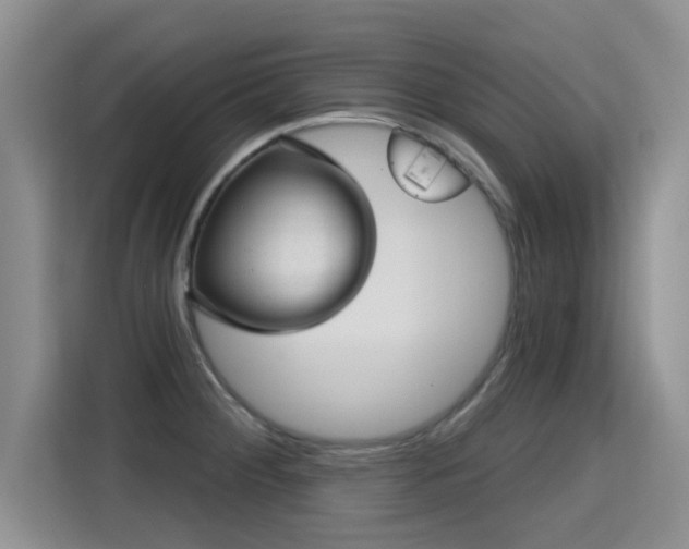X0000115381284200911101259