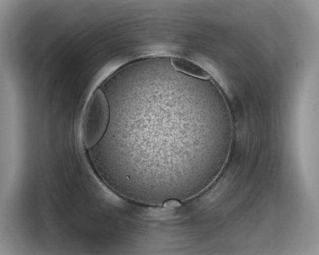 X0000115381285200911101259