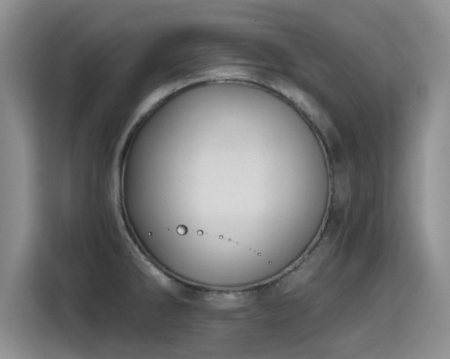 X0000115381286200911101259