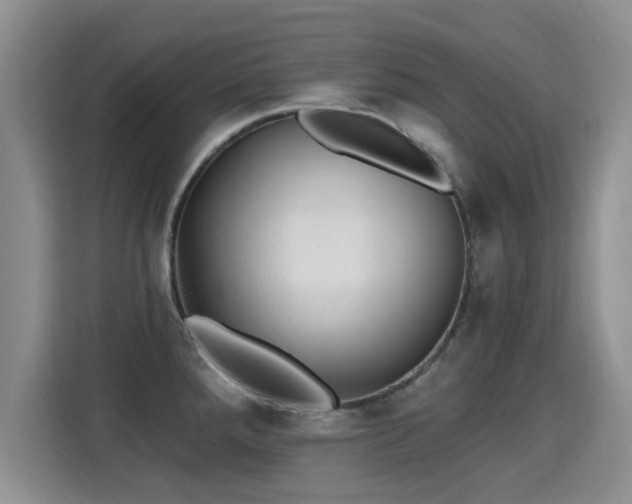 X0000115381288200911101259