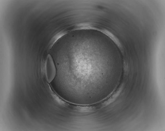 X0000115381289200911101259