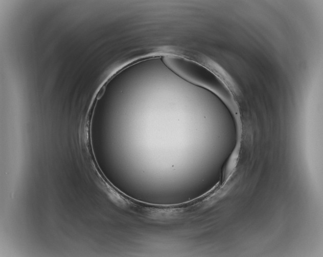 X0000115381292200911101259