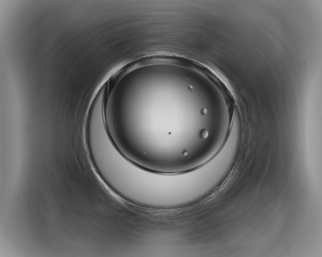 X0000115381293200911101259