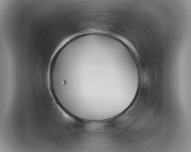 X0000115381294200911101259