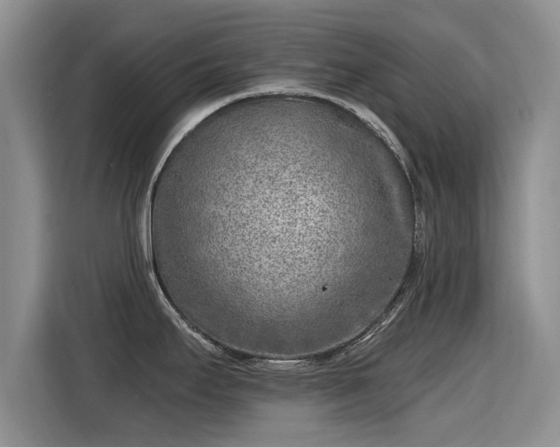 X0000115381295200911101259