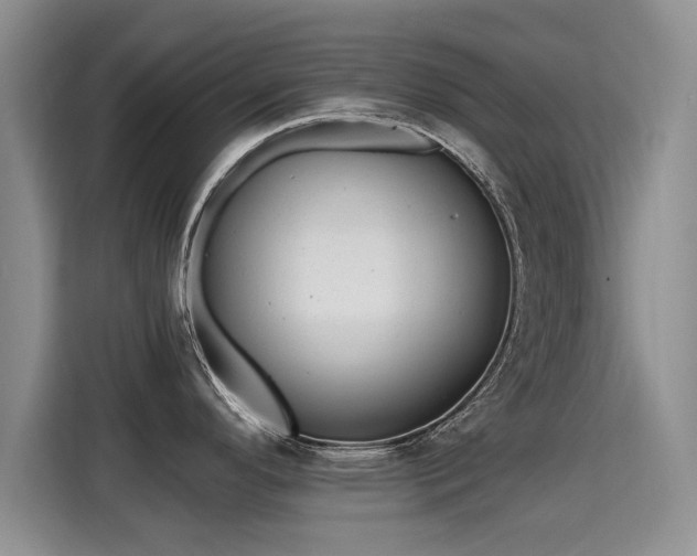 X0000115381296200911101259