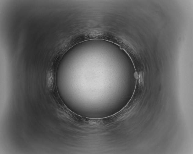 X0000115381299200911101258
