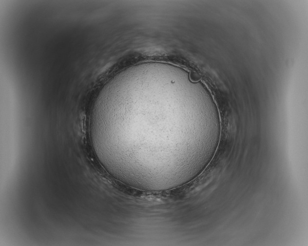 X0000115381301200911101258