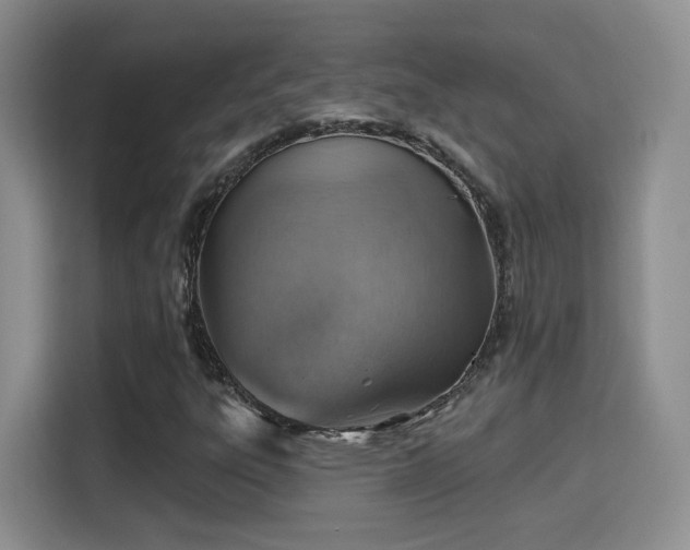 X0000115381303200911101258