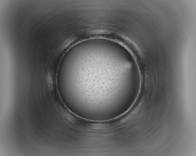 X0000115381305200911101258
