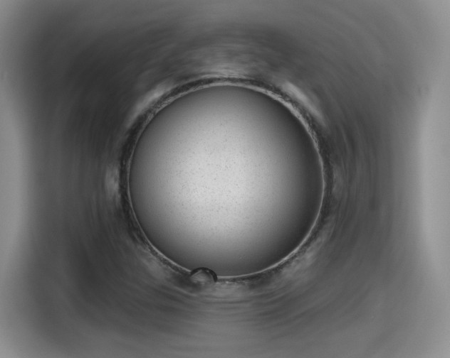 X0000115381307200911101258