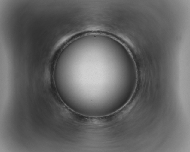 X0000115381311200911101258