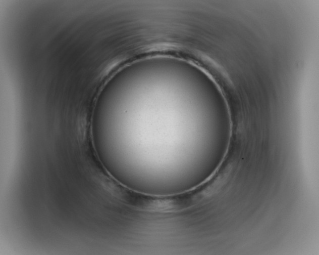 X0000115381313200911101258