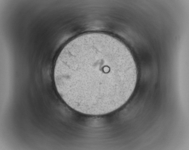 X0000115381314200911101258
