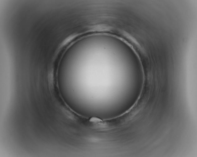 X0000115381315200911101258