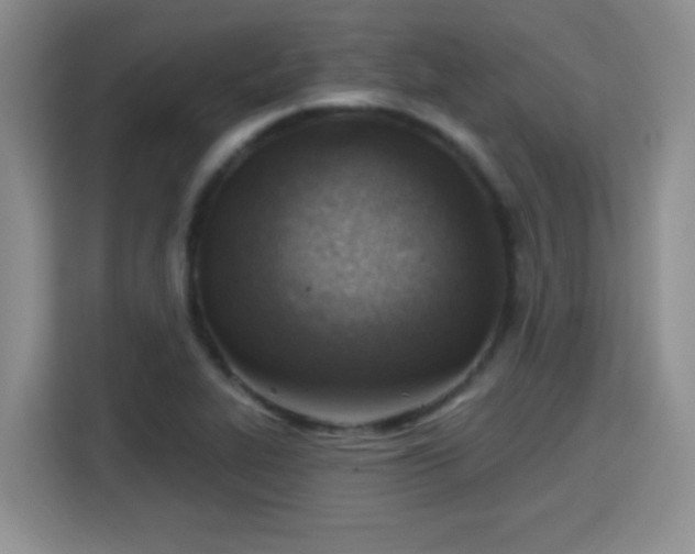 X0000115381319200911101258